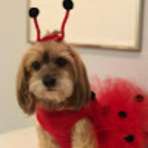 Meet your Posher, Martha